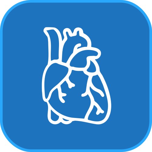 Kardiologia